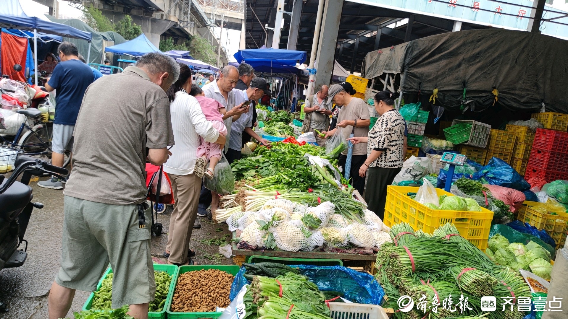 济南蔬菜价格小幅波动略有上涨，水果价格平稳(济南蔬菜价格小幅波动略有上涨,水果价格平稳的原因)