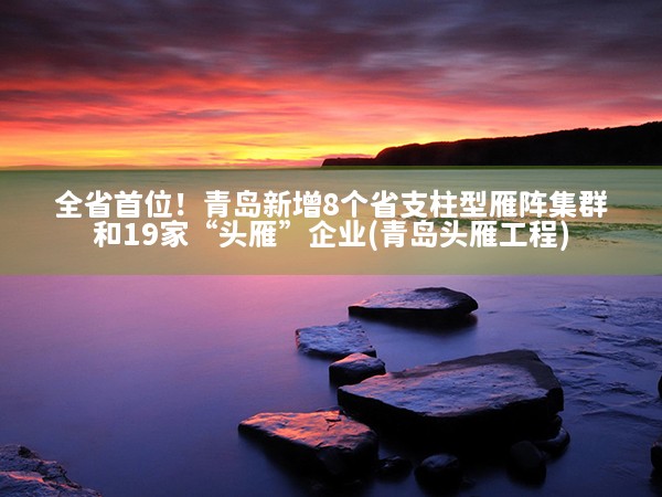 全省首位！青岛新增8个省支柱型雁阵集群和19家“头雁”企业(青岛头雁工程)