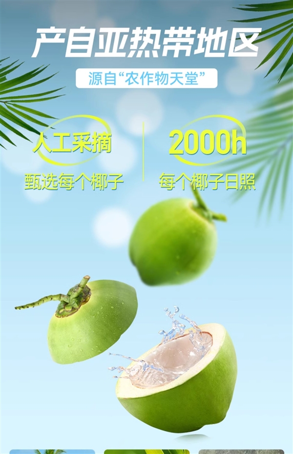 配料表只有椰子水！海蓝优鲜椰子水大促：两件券后19.8元(海蓝老椰)