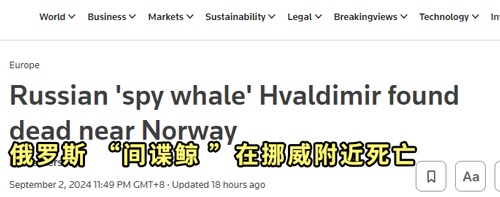 俄罗斯间谍在挪威离奇死亡！竟然是一头白鲸？(挪威称发现间谍白鲸)